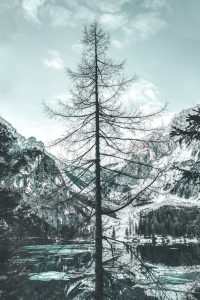 Vattenrening till stugan